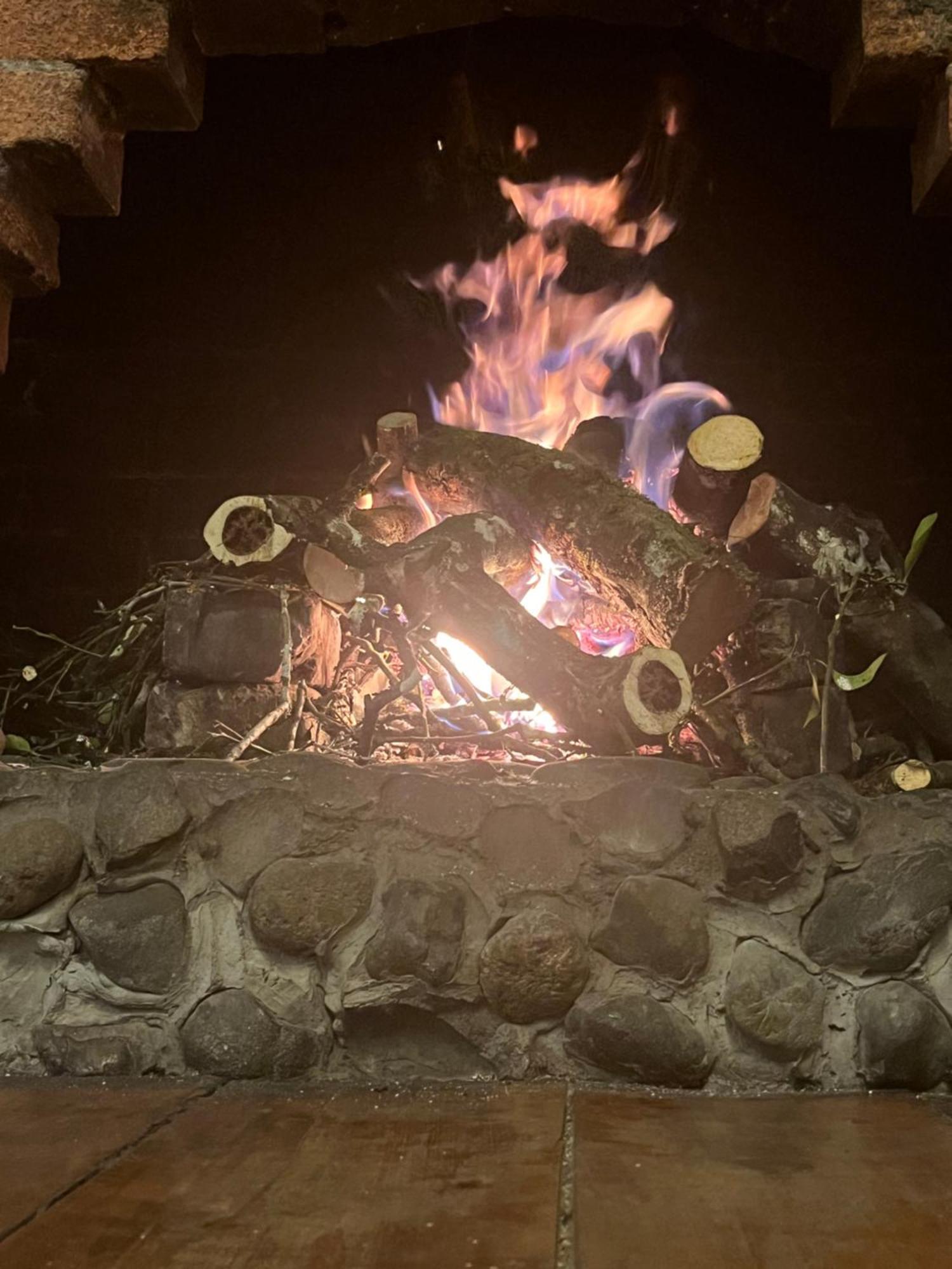 Finca Campestre La Adelita B&B 萨兰托 外观 照片